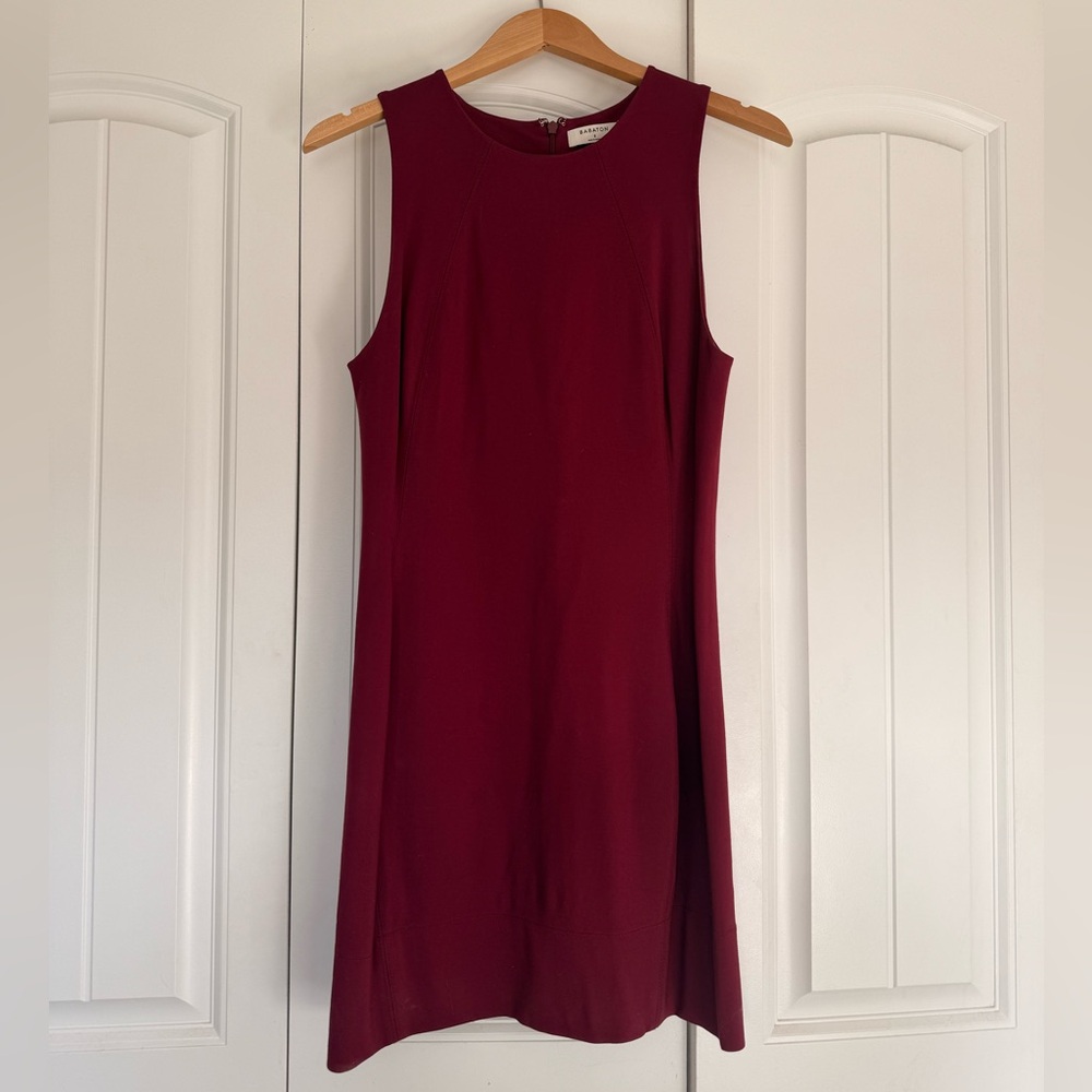 Babaton Mini dress